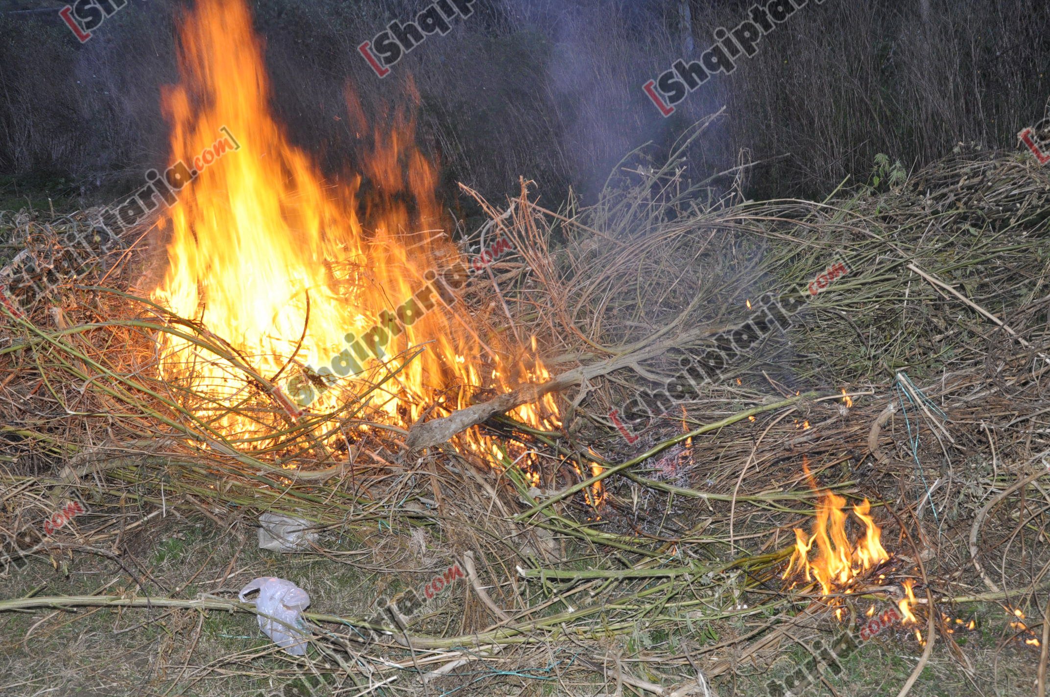 droga kurjan me logo