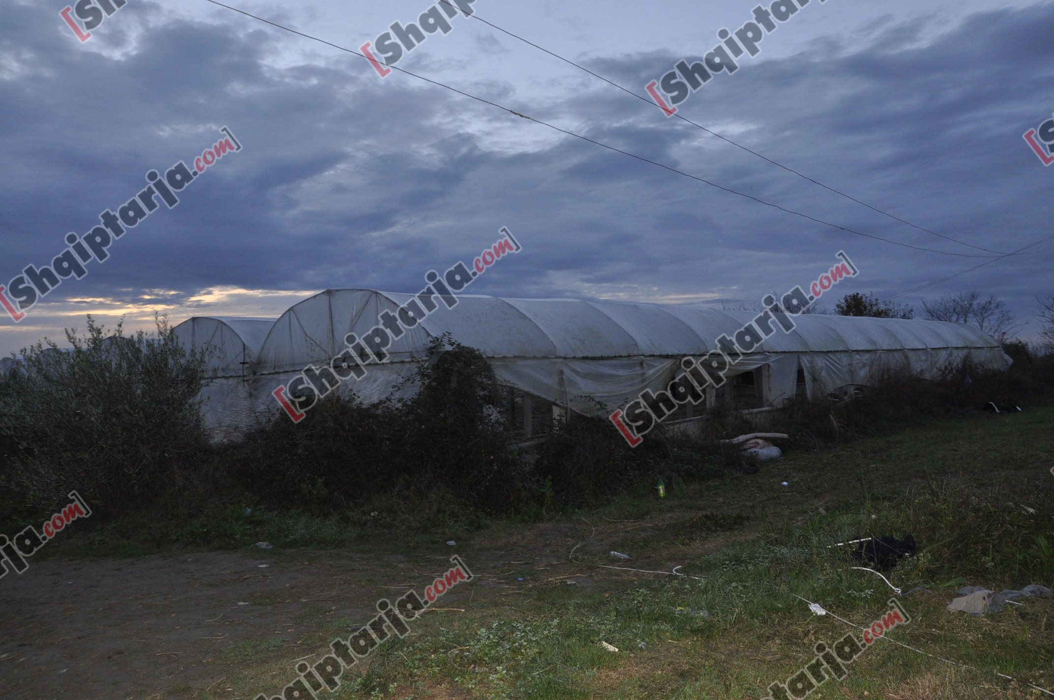 droga kurjan me logo