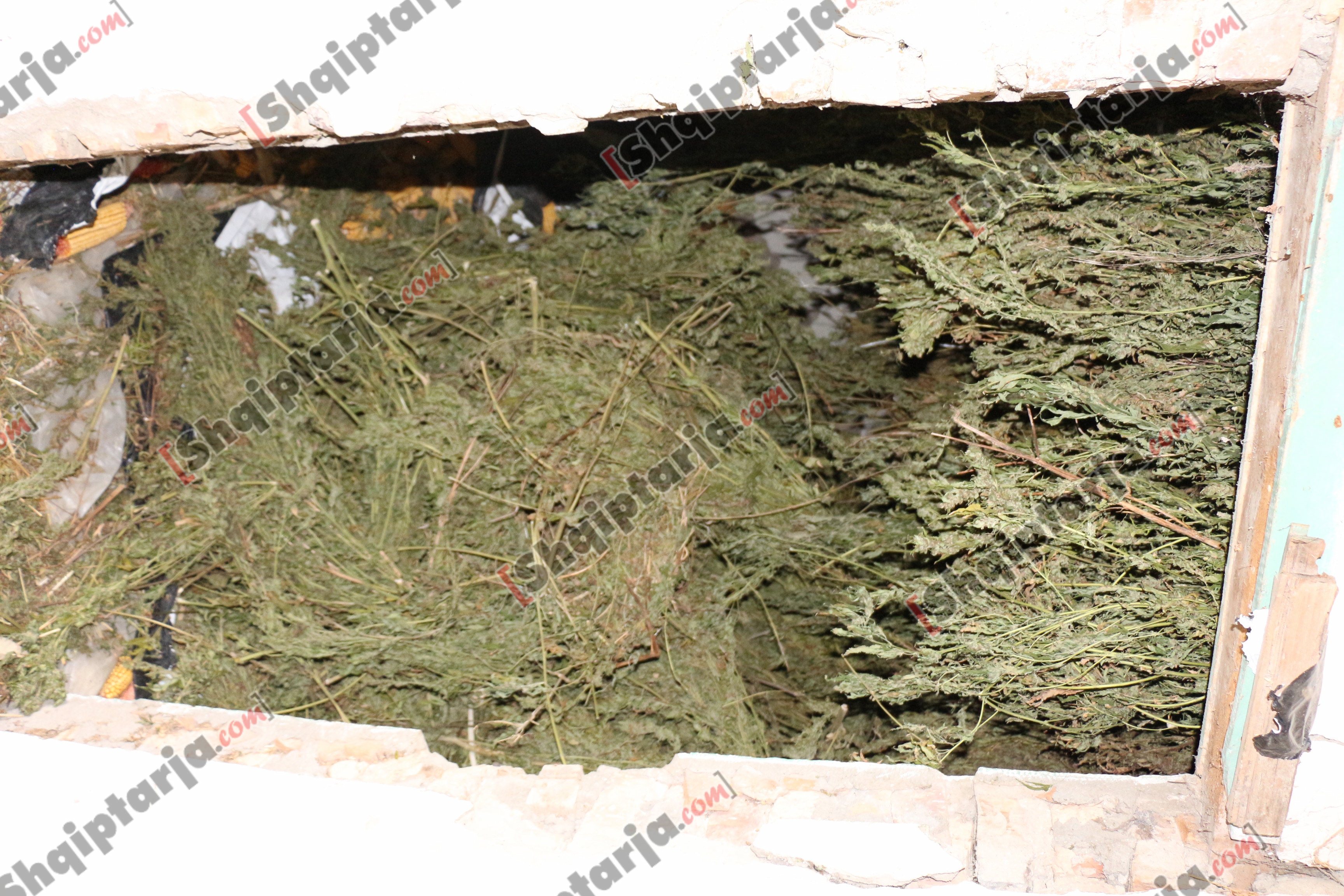 droga kurjan me logo