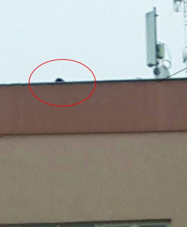 snajper mbi shtepine e kultures