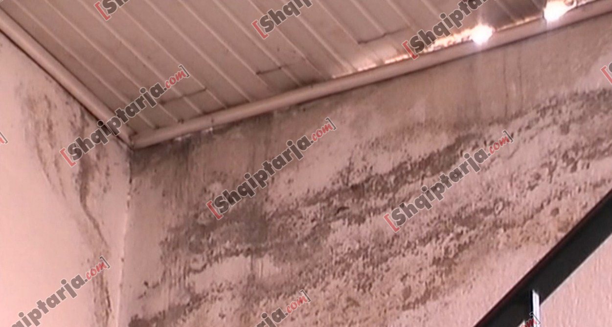 pogradec poliklinika