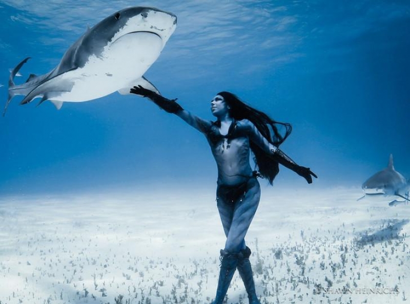 kercim me peshakqenin