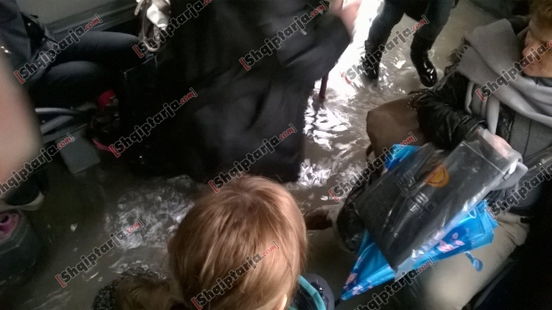 uji brenda autobuzit