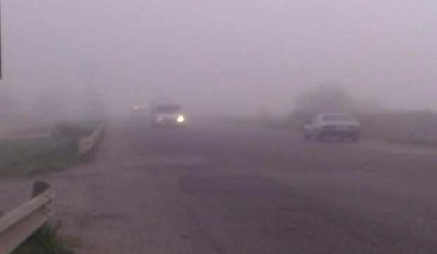 mejgull fushe kruje lezhe