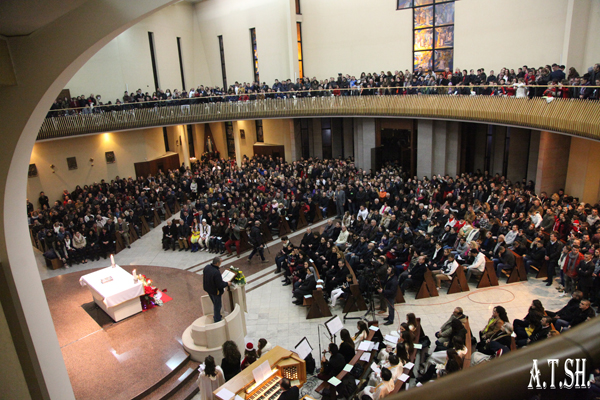 katedralja shen palit