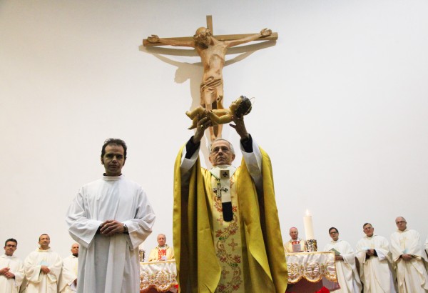 katedralja shen palit