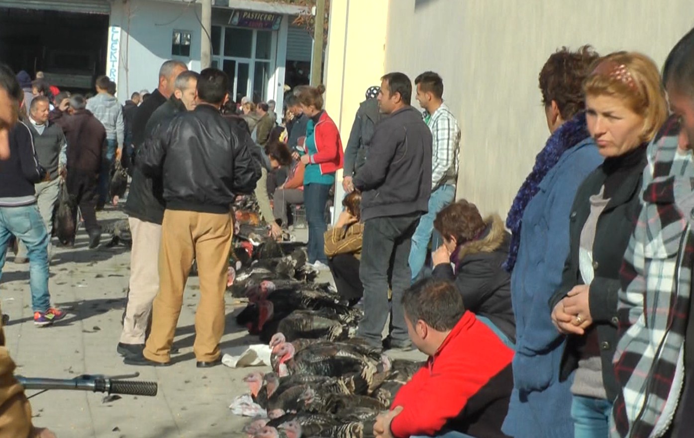 elbasan gjelat e detit