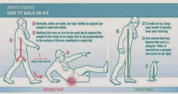 rreshqitje, ecje pinguini 