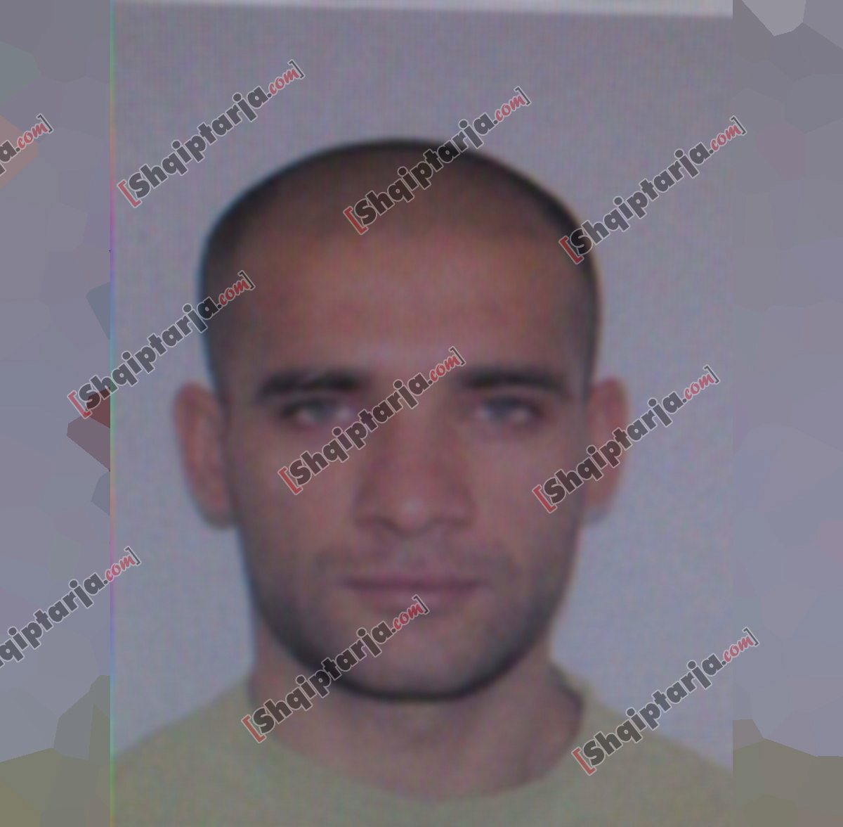 ervis Lulushi me logo