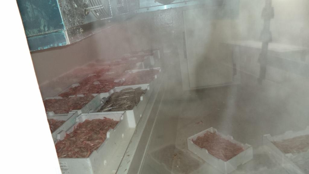 peshkarexha italiane