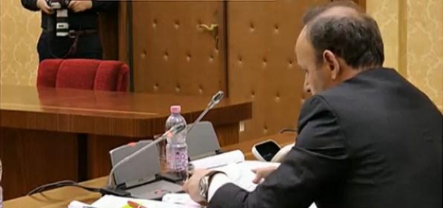 avokati i kokedhimes