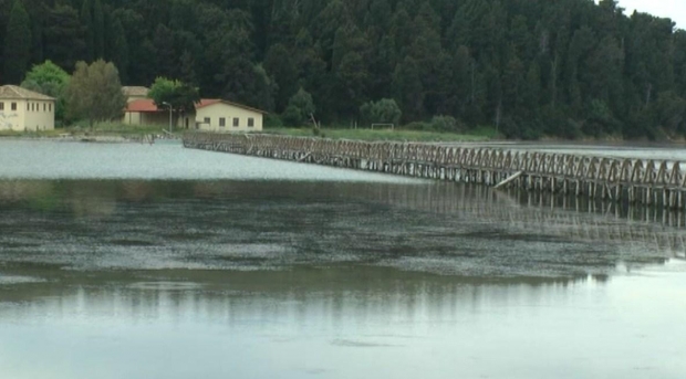 MANASTIRI I zvernecit 