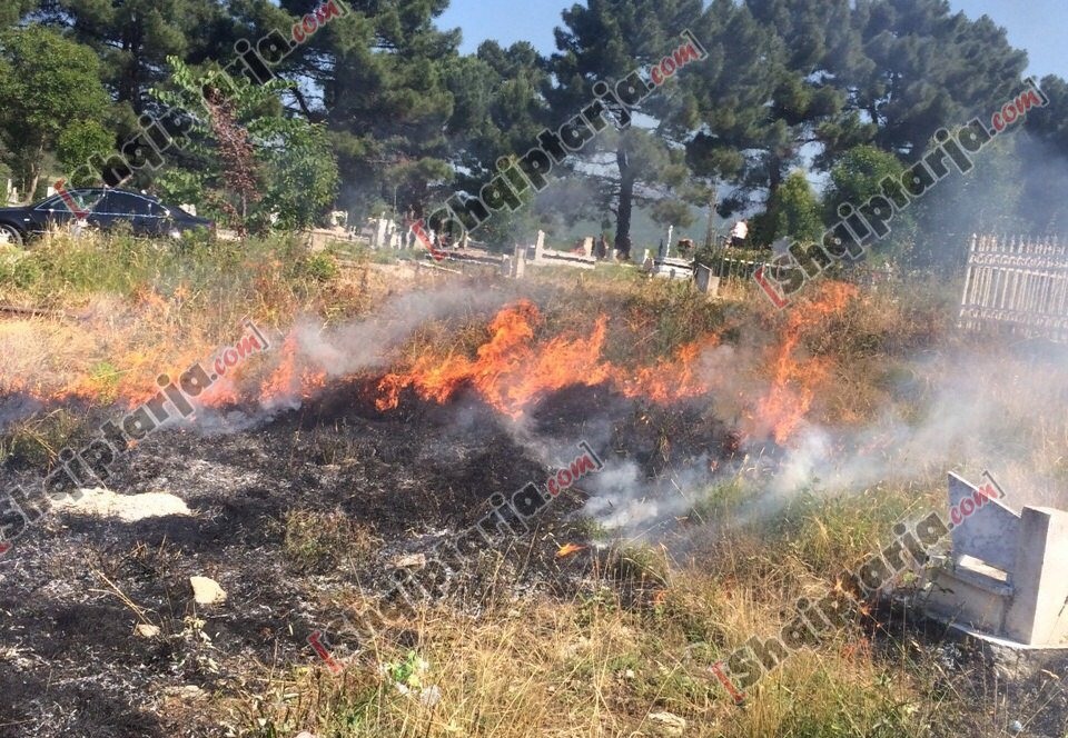 zjarri ne varreza ME LOGO