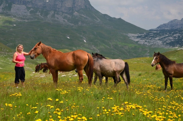 cifti cek fotot e fundit