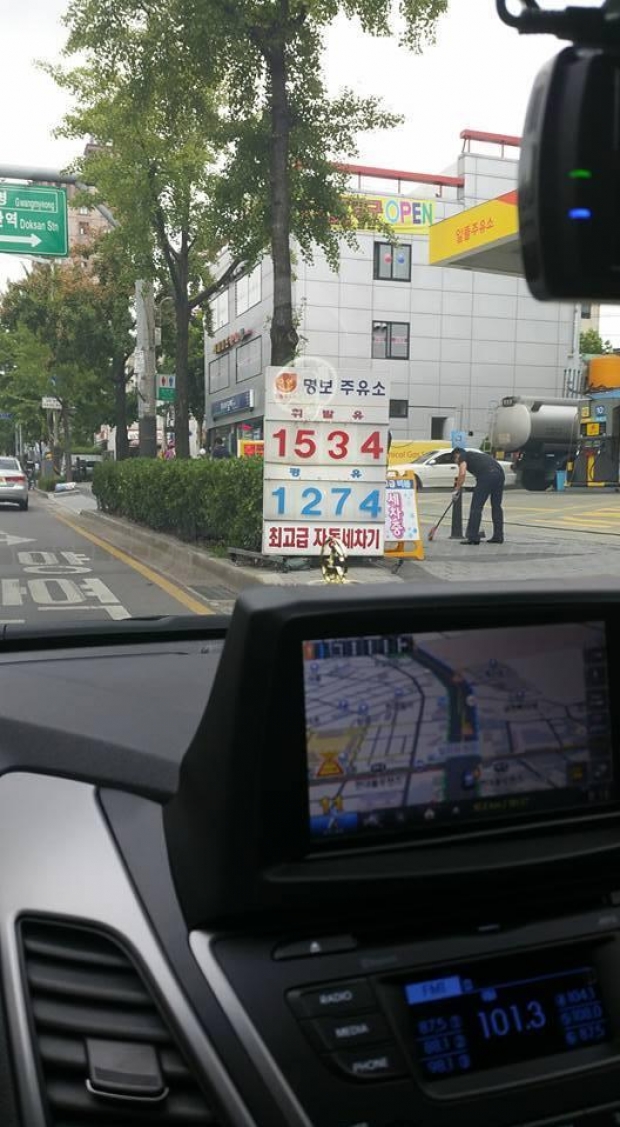 cmimi i naftes ne korene e jugut 