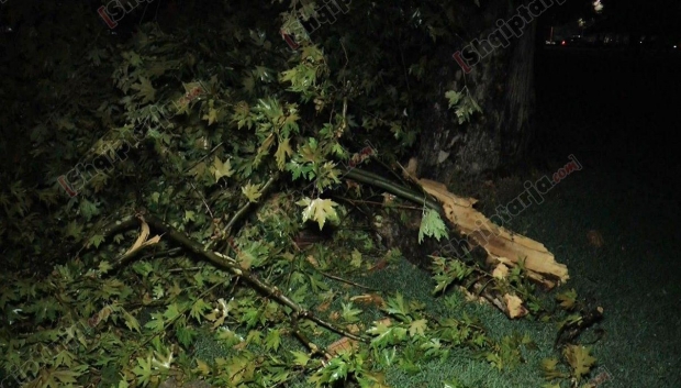 pemet e rrezuara ne tirane 