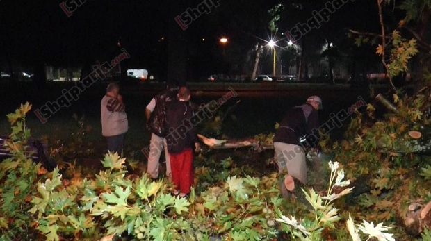 pemet e rrezuara ne tirane 