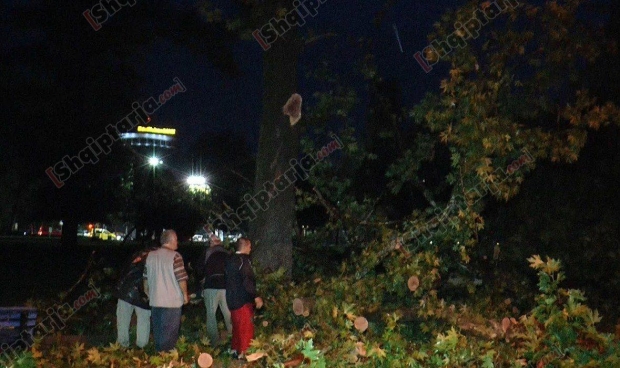 pemet e rrezuara ne tirane 