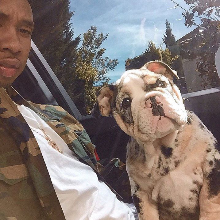 tyga