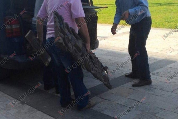 ikonat transportohen