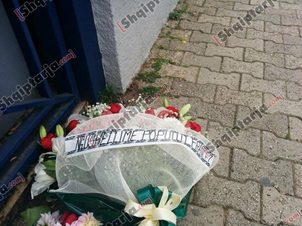 ambasada franceze ne shqiperi me logo