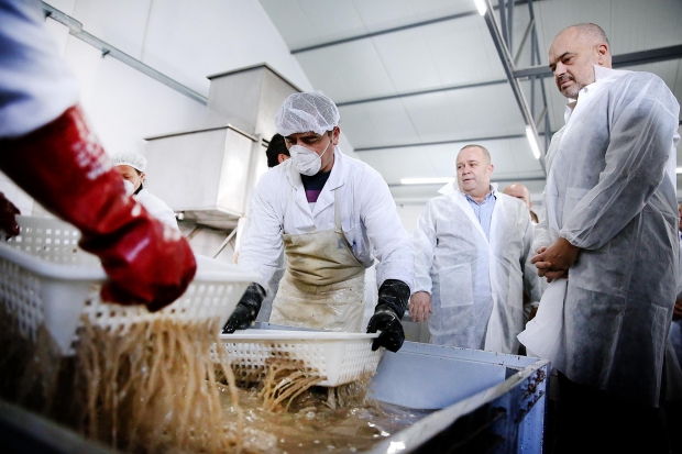 rama te fabrika e peshkut