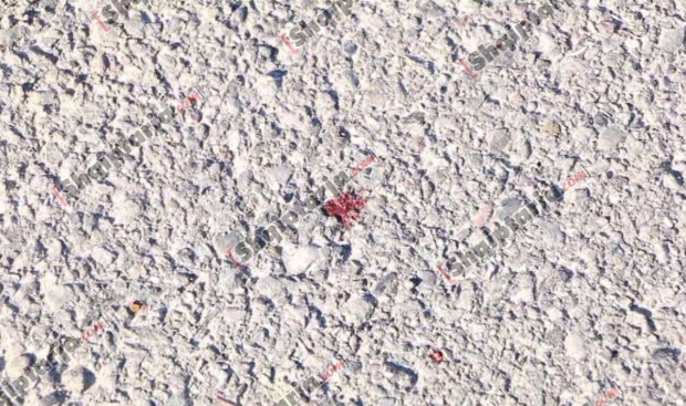 vrasja manez durres arben hasa me logo 