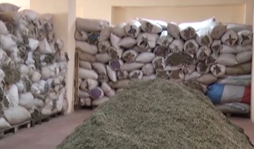 magazina e fermerit kukes