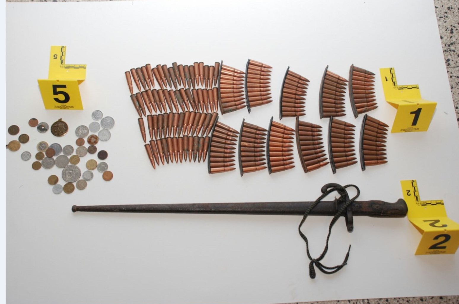 Elbasan, arrestohet Kujtim Sula, kishte vjedhur një shpatë në Greqi