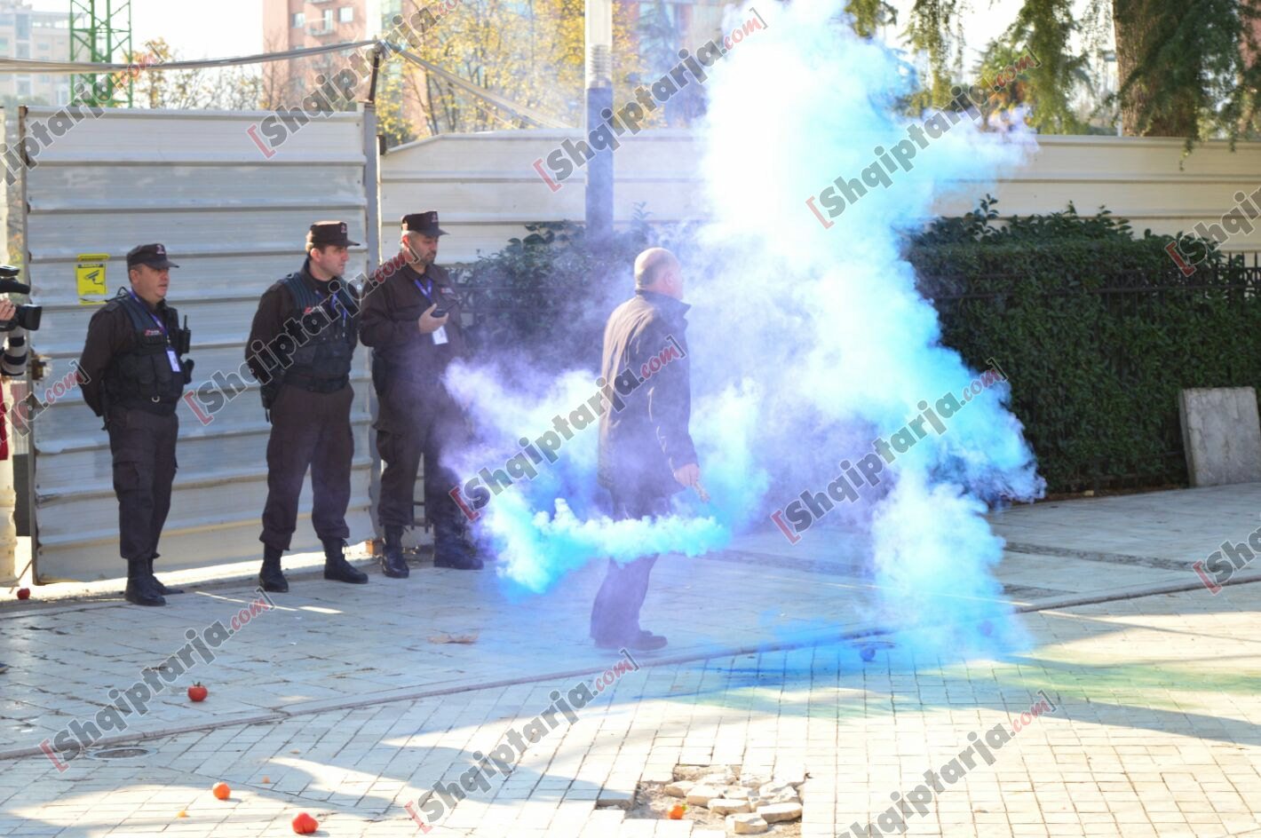 tym veze domate te protesta