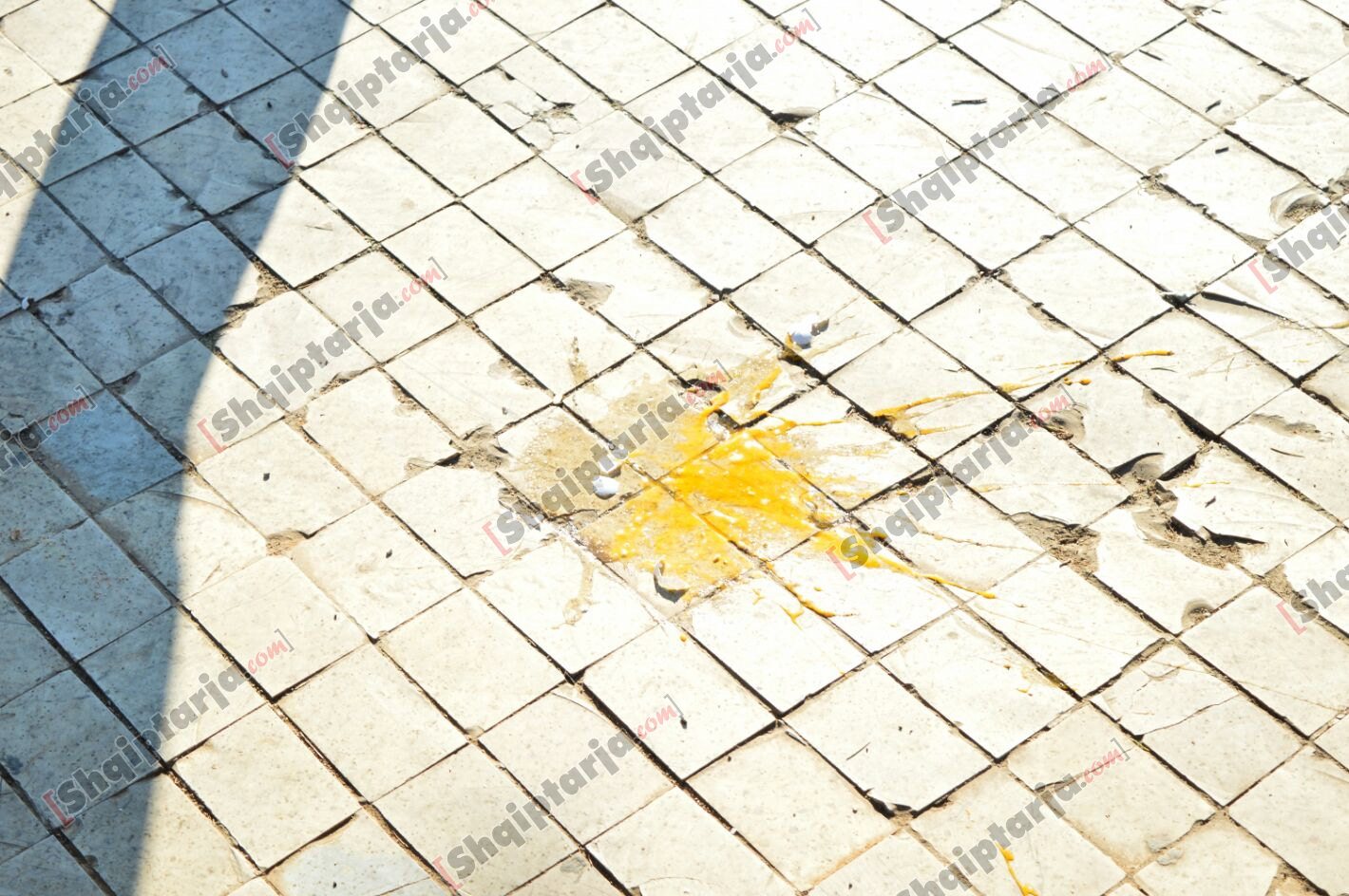 portokall veze domate te protesta