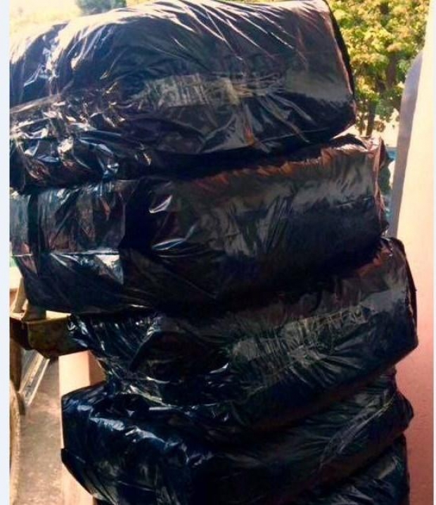 Shkodër, sekuestrohen 76.5 kg kanabis, arrestohen 3 persona