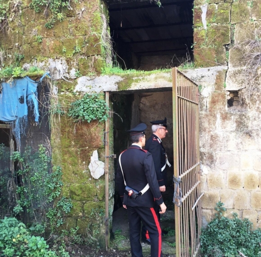 napoli perdhunohet shqiptarja