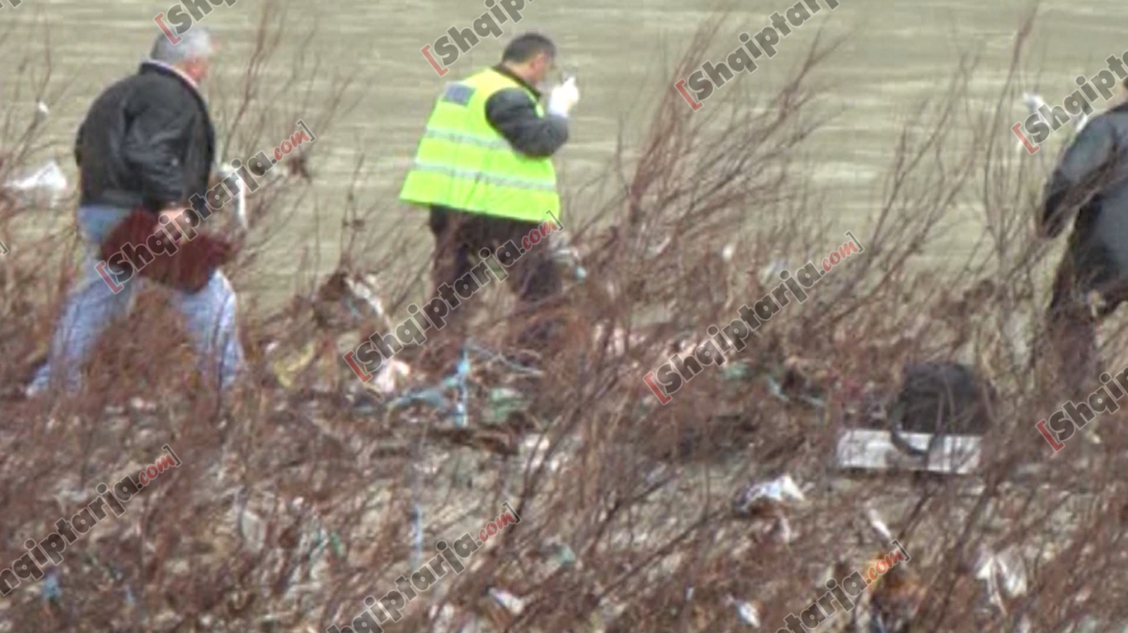 trupi i pajeste klos