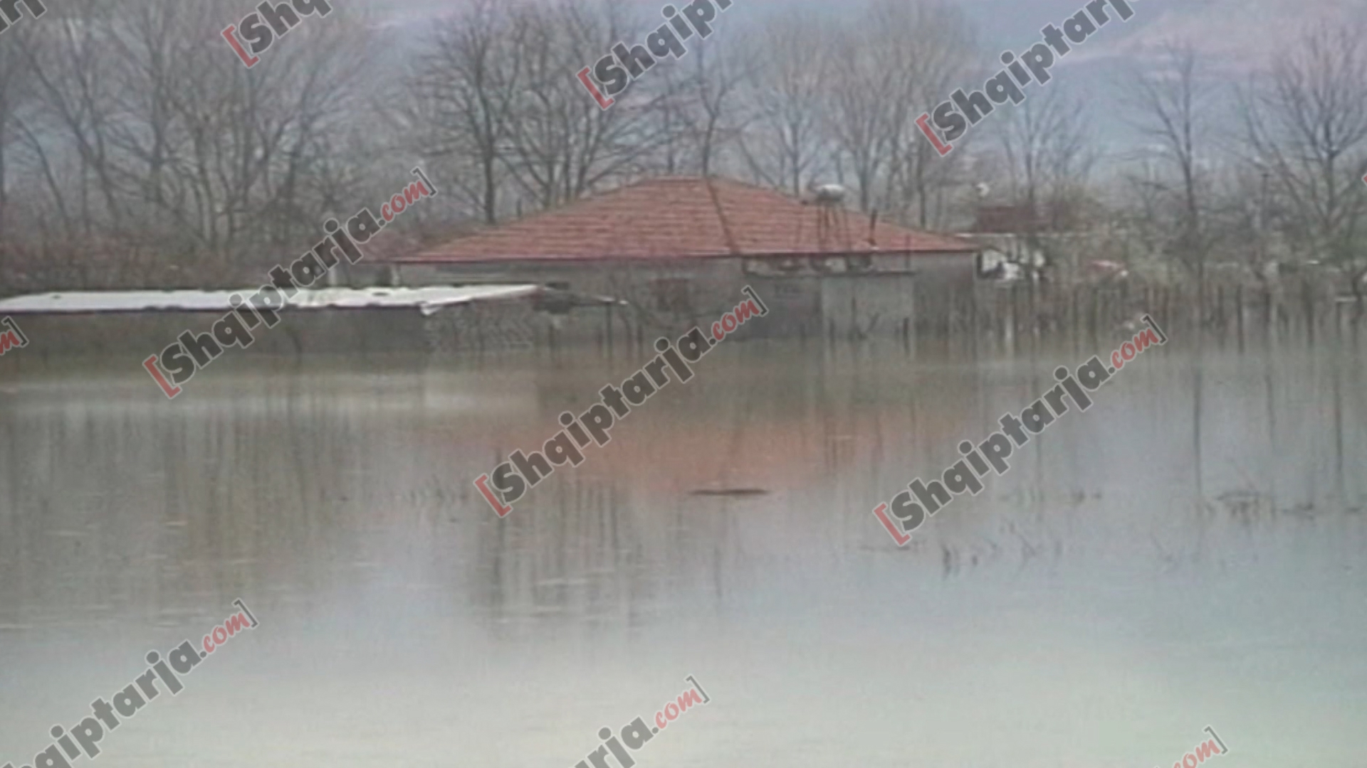 permbytje fushekruje