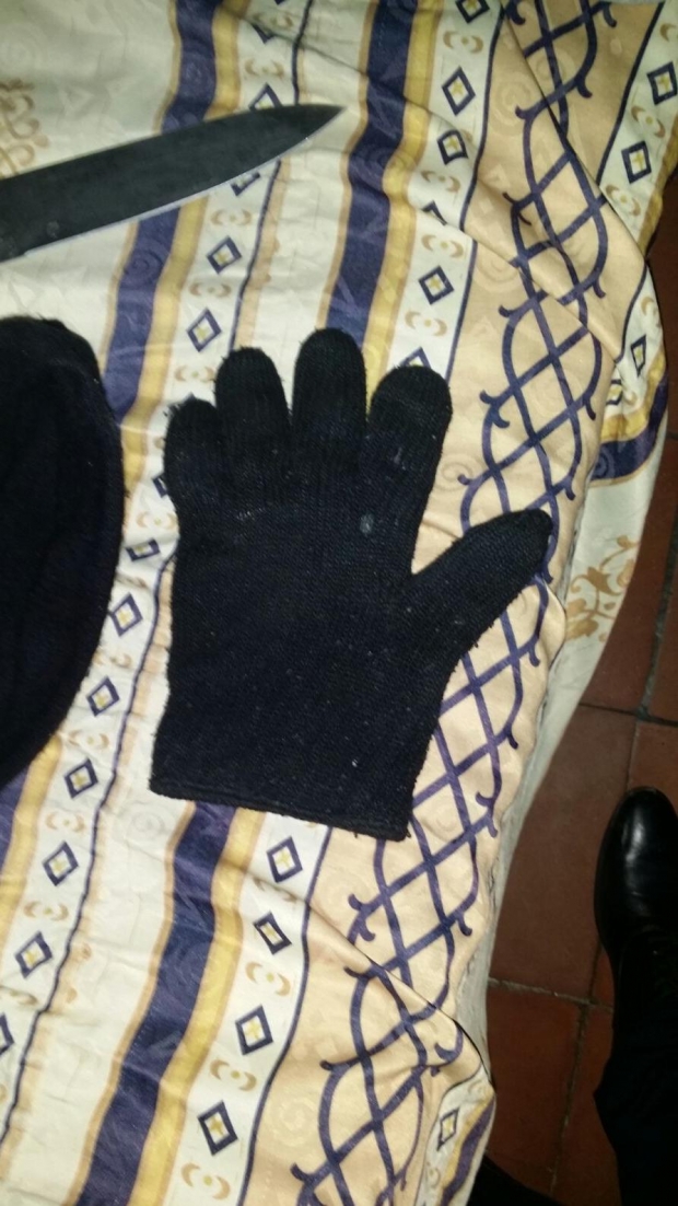 vjedhje ali dem shall doreza