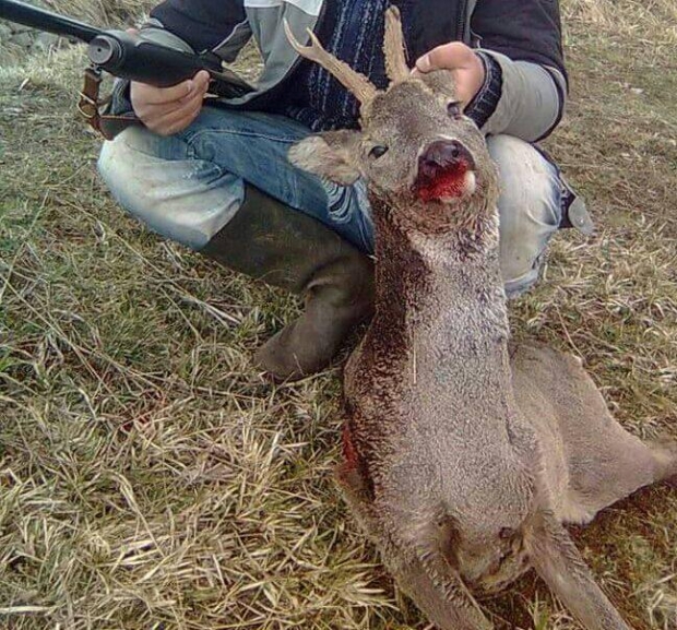 gjuetia e paligjshme