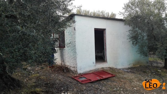 vendi ku qendroi klodi lesi