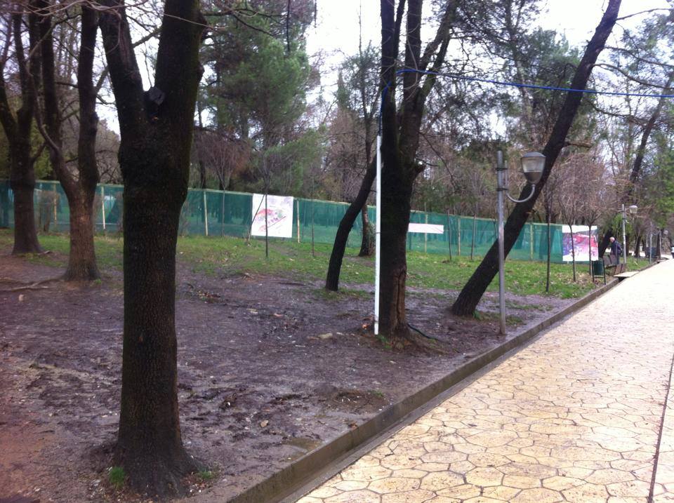 kendi lojrave te liqeni