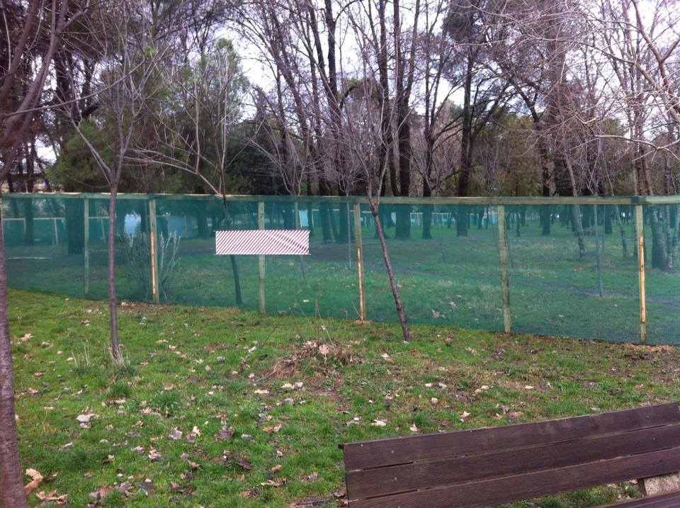 kendi lojrave te liqeni