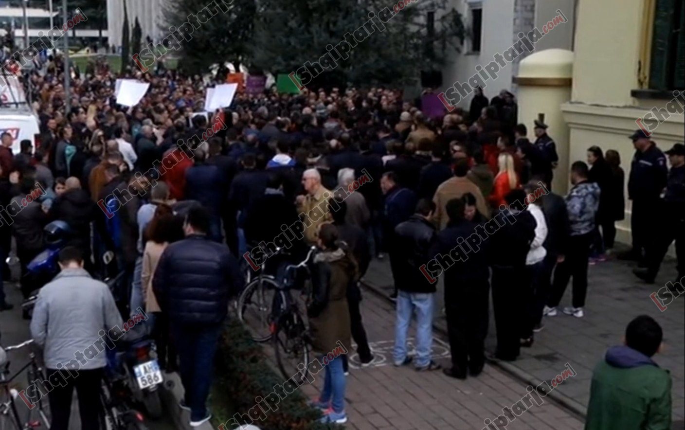 protesta tek bashkia