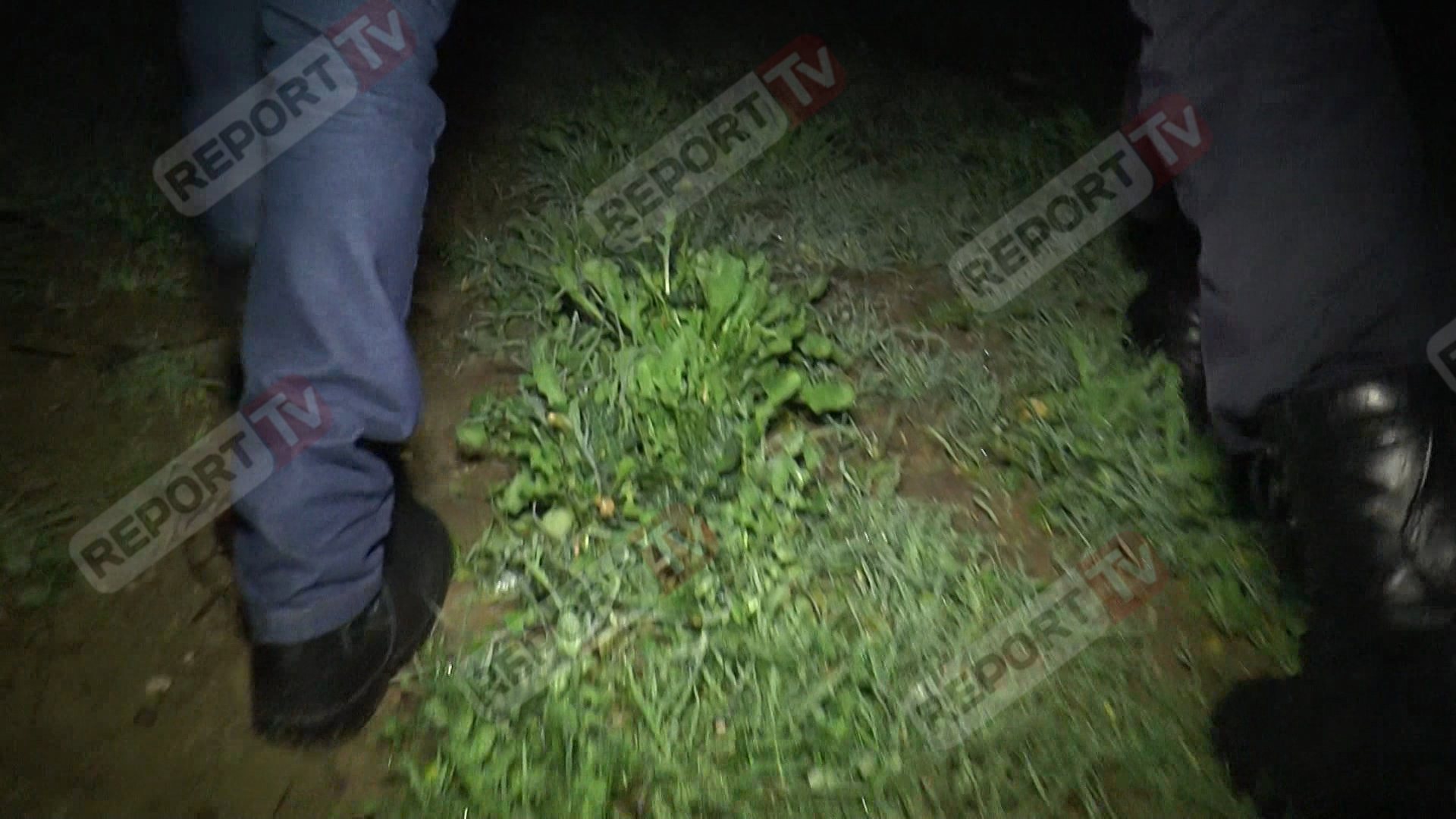 kufiri me greqine arseni reportazh