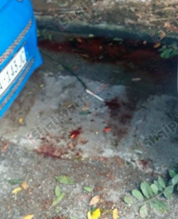 suedesi regensy casino