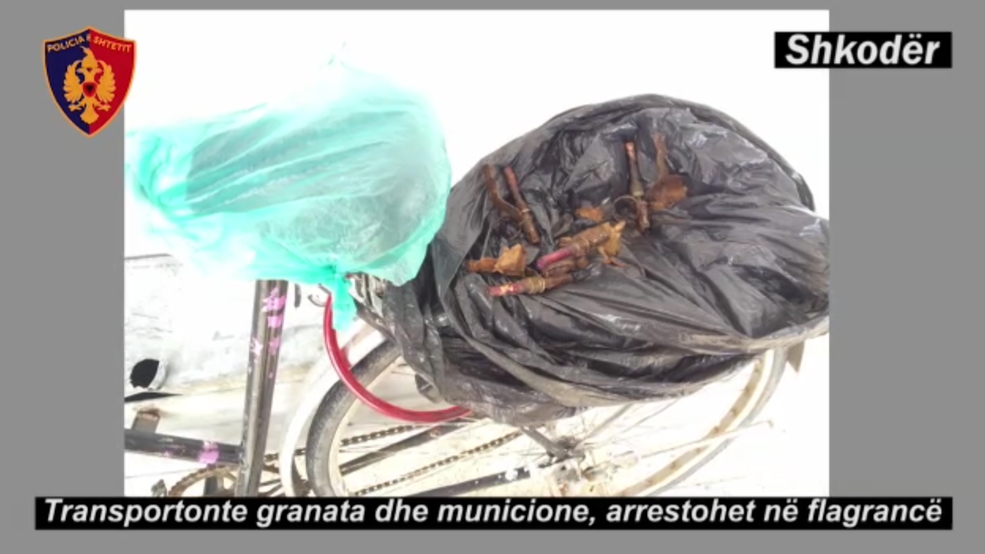 shkoder arme e municione