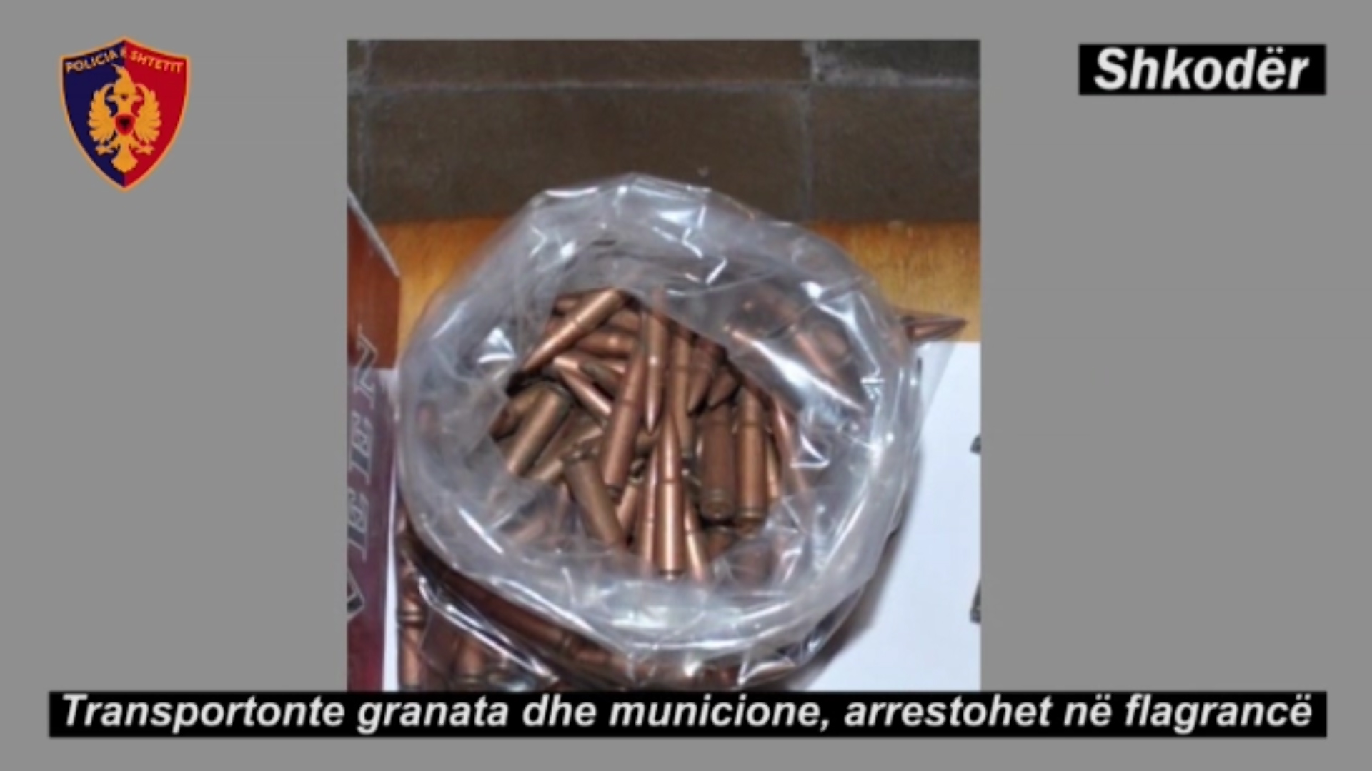 shkoder arme e municione