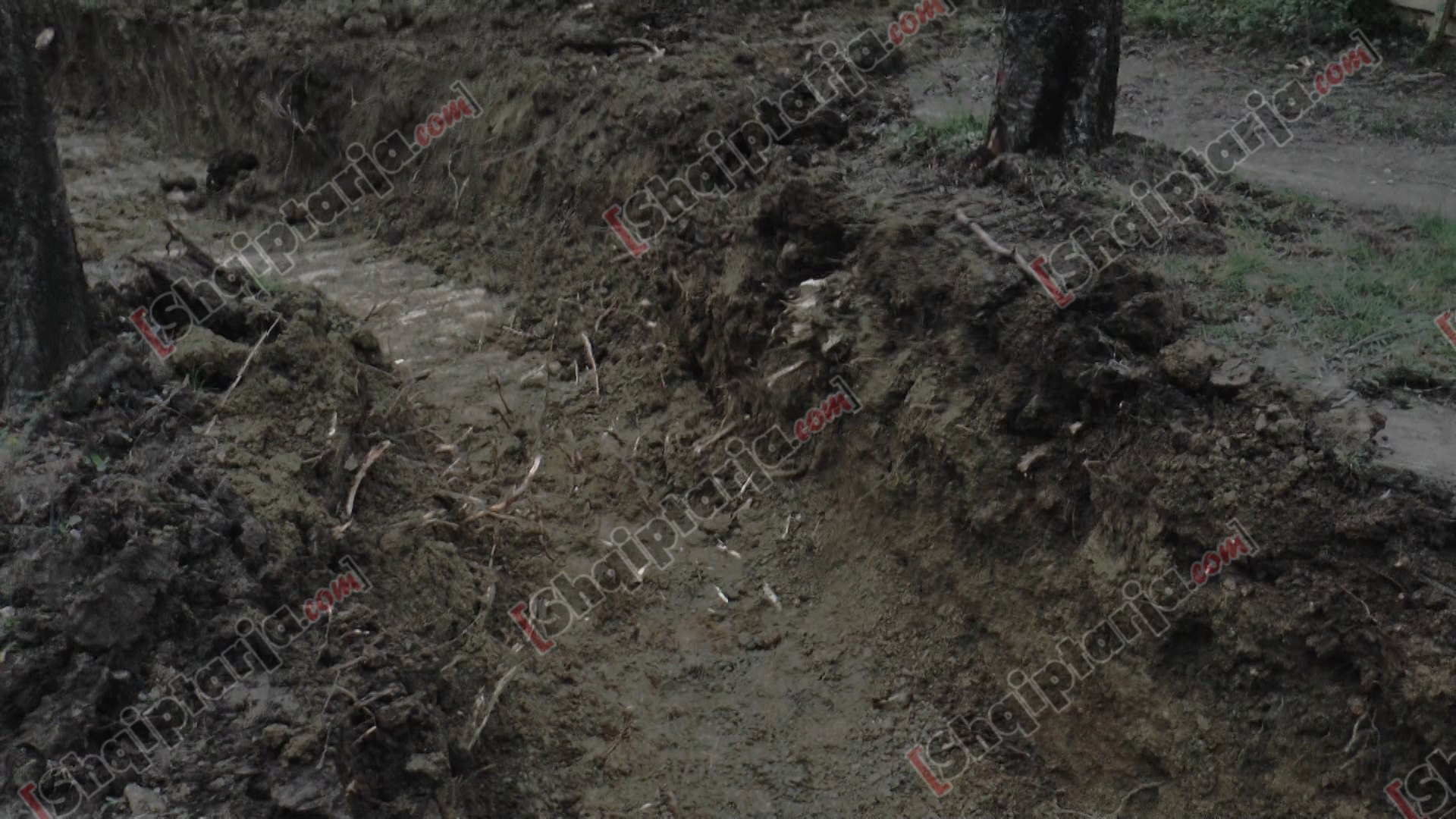 foto hekurudha trenit te parku liqenit