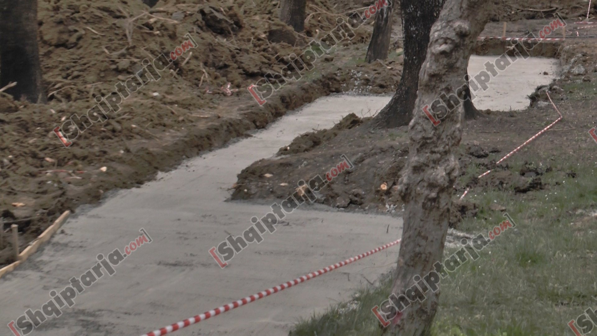 foto hekurudha trenit te parku liqenit
