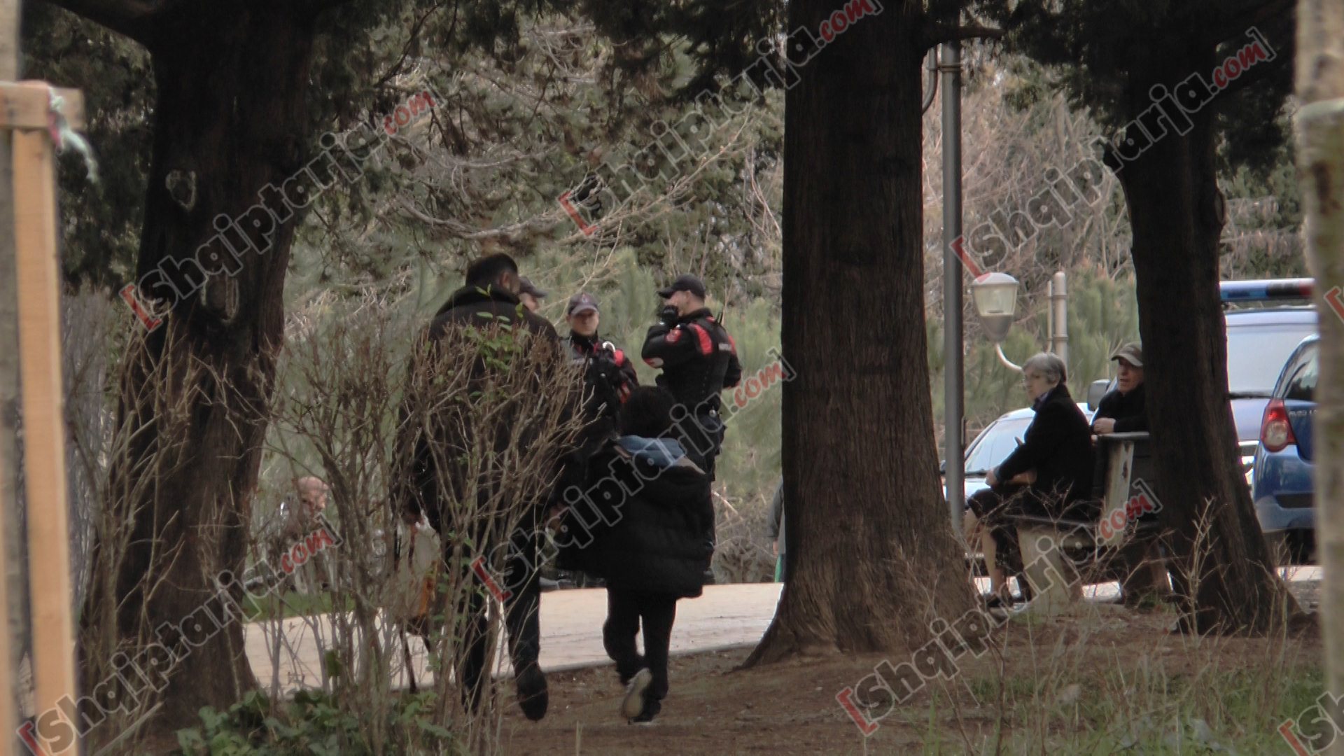 foto hekurudha trenit te parku liqenit