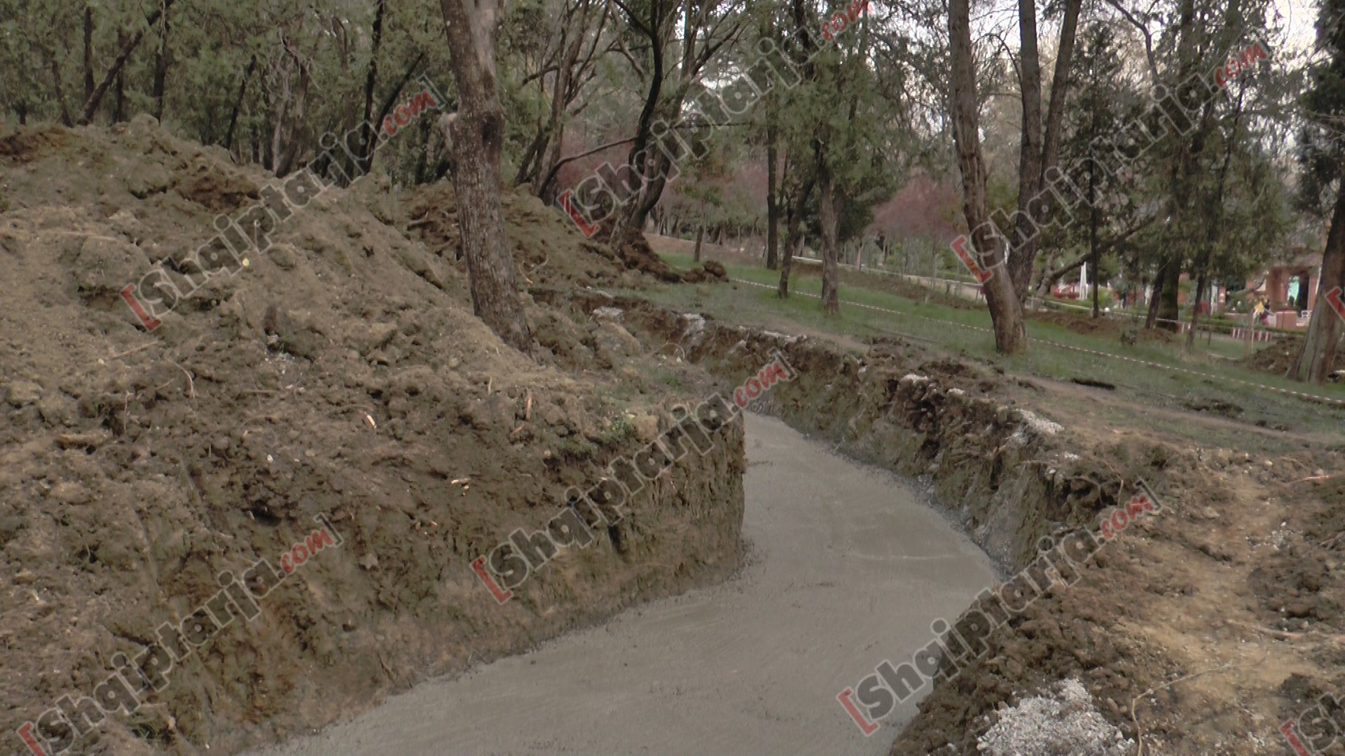 foto hekurudha trenit te parku liqenit