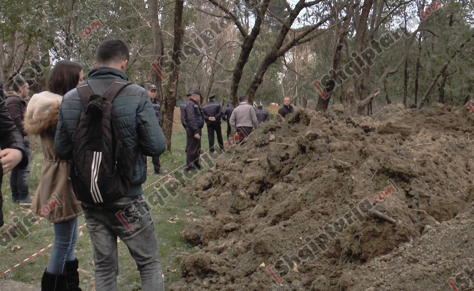 foto hekurudha trenit te parku liqenit